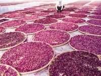 建設特色小鎮不只是蓋樓賣房 建設特色小鎮不只是蓋樓賣房