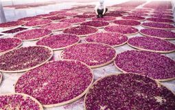 建設特色小鎮不只是蓋樓賣房