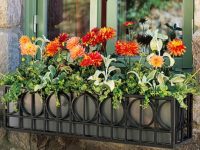 未來同濟周邊有多美？總有一條路讓你怦然心動