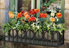 未來同濟周邊有多美？總有一條路讓你怦然心動