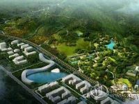 碧桂園特色小鎮:以產業溢出效應為突破口 碧桂園特色小鎮:以產業溢出效應為突破口