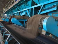 如何為城市更新添上一抹綠？土壤修復為植物打造了這樣的“安樂窩”