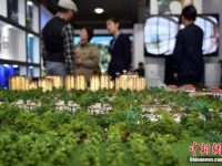 中國投資者自有住房擁有率77% 領先全球