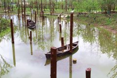 最文藝的郊野公園就藏在黃浦江畔