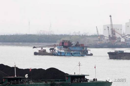 閔行 | 是什么讓黃浦江的水域環境變得“干凈有序”？