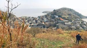 奉賢，這里有座隱世小島，可以獨享微城慢生活