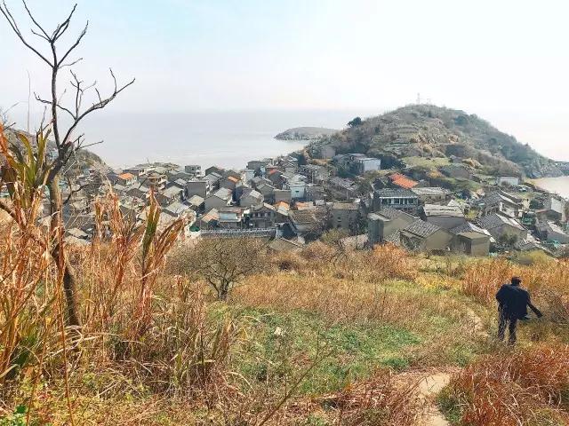 奉賢，這里有座隱世小島，可以獨享微城慢生活