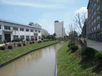 金山 | “490區域”通過市級驗收，下半年這里還將有大變化