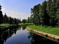 浦東江東支路要拓寬啦 浦東江東支路要拓寬啦