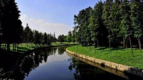 浦東江東支路要拓寬啦