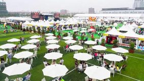 徐匯 跑道公園和西岸營地對外開放啦！