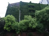 楊浦街頭驚現“童話城堡”