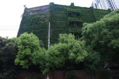 楊浦街頭驚現“童話城堡” 楊浦街頭驚現“童話城堡”