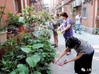 上海老樓變身記，比B-Box更酷的“綠植Box”來了！