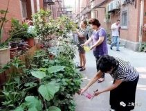 上海老樓變身記,比B-Box更酷的“綠植Box”來了! 上海老樓變身記,比B-Box更酷的“綠植Box”來了!