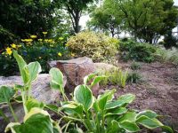 黃浦濱江移步換景 南外灘濱江段將有兩個大項目 黃浦濱江移步換景 南外灘濱江段將有兩個大項目