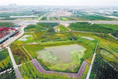 建設海綿城市：管好水才能建好城