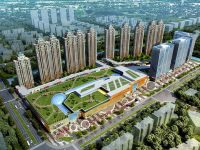 金山 | 這條公路預計年底竣工，金山新城將直通張堰！