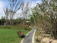 “五違”集聚地拆出主題公園，張江科學城一日新添兩項民生工程