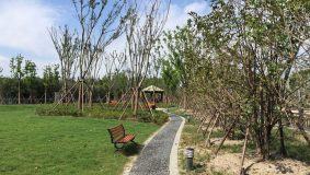 “五違”集聚地拆出主題公園,張江科學城一日新添兩項民生工程 “五違”集聚地拆出主題公園,張江科學城一日新添兩項民生工程