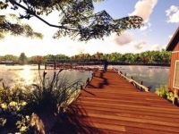 閔行 | 南閔行將擁有1800畝的森林體育公園，一期近10萬㎡下月底建成開放！