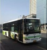 楊浦 | 3條公交線路調整,9月9日起正式實施! 楊浦 | 3條公交線路調整,9月9日起正式實施!