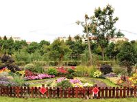 閔行 | 新添一片7萬平方米的“四季花海”，附近居民還可去種菜