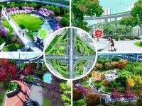 上海中心城區8萬平米綠地改造 揭秘工程設計難點 上海中心城區8萬平米綠地改造 揭秘工程設計難點