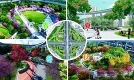 上海中心城區8萬平米綠地改造 揭秘工程設計難點 上海中心城區8萬平米綠地改造 揭秘工程設計難點