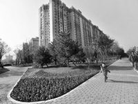 樓下荒草地建起城市休閑公園