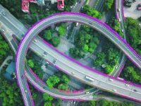 廣州天橋綠化申報 國家人居環境范例獎 廣州天橋綠化申報 國家人居環境范例獎