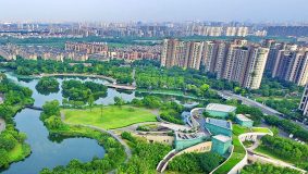 新江灣城開通兩條定制巴士：新增巴士招呼站，開啟“招手即停”公交新模式