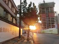 普陀 | 關閉一年,銅川路水產市場原址如今什么樣?未來會怎樣? 普陀 | 關閉一年,銅川路水產市場原址如今什么樣?未來會怎樣?