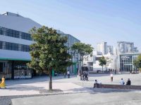 第四屆西岸藝博會開幕,打造國際當代藝術“上海名片” 第四屆西岸藝博會開幕,打造國際當代藝術“上海名片”