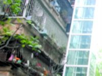 舊樓加裝電梯要走幾道梯? 舊樓加裝電梯要走幾道梯?