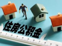 租房人大狂歡 滬14家租房企業從此可集中提取公積金付房租 租房人大狂歡 滬14家租房企業從此可集中提取公積金付房租