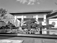 歐美風格退場 新中式成為樓市主流 歐美風格退場 新中式成為樓市主流