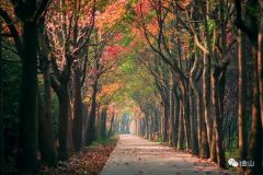 金山 | 一不小心，金山又成為上海第一！