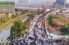 人民房評:南京為何再現排隊買房 人民房評:南京為何再現排隊買房