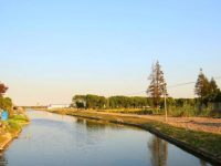 嘉定 | 岸堤綠了、臭氣沒了… 小辰光的農村又回來了