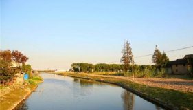 嘉定 | 岸堤綠了、臭氣沒了… 小辰光的農村又回來了