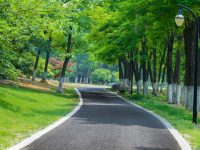 普陀 | 新增三條綠道，靠近居民區總長達7公里