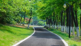 普陀 | 新增三條綠道，靠近居民區總長達7公里