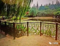 楊浦 | 這兩座公園綠化改造后煥然一新,據說美得很…… 楊浦 | 這兩座公園綠化改造后煥然一新,據說美得很……