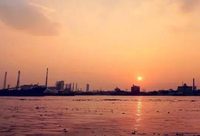 閔行 | 濱江區域躋身黃浦江兩岸公共空間建設下個“主戰場” 閔行 | 濱江區域躋身黃浦江兩岸公共空間建設下個“主戰場”