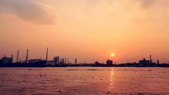 閔行 | 濱江區域躋身黃浦江兩岸公共空間建設下個“主戰場” 閔行 | 濱江區域躋身黃浦江兩岸公共空間建設下個“主戰場”