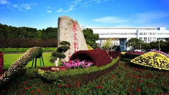 寶山 | 這里的很多路藏著故事,你都一一打卡了嗎? 寶山 | 這里的很多路藏著故事,你都一一打卡了嗎?