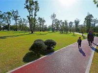 松江 | 今年新添綠道13.2公里，有沒有在你家附近的？