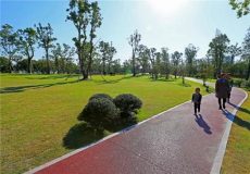 松江 | 今年新添綠道13.2公里,有沒有在你家附近的? 松江 | 今年新添綠道13.2公里,有沒有在你家附近的?