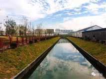 金山 | 這兩個備受矚目的公園建得咋樣了?超多美景搶先看! 金山 | 這兩個備受矚目的公園建得咋樣了?超多美景搶先看!